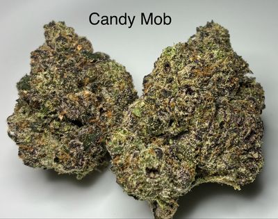 Candy Mob (SH)