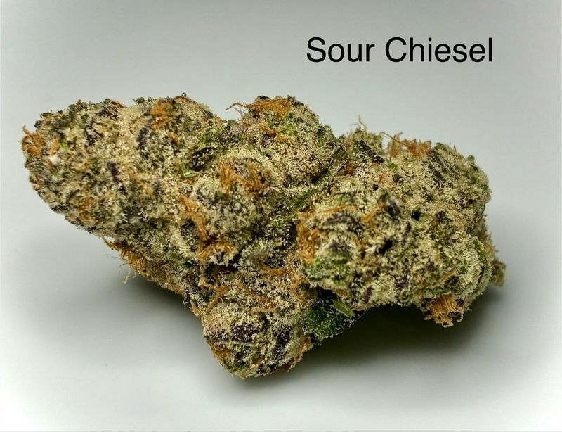 Sour Chiesel (SH)