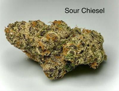 Sour Chiesel (SH)
