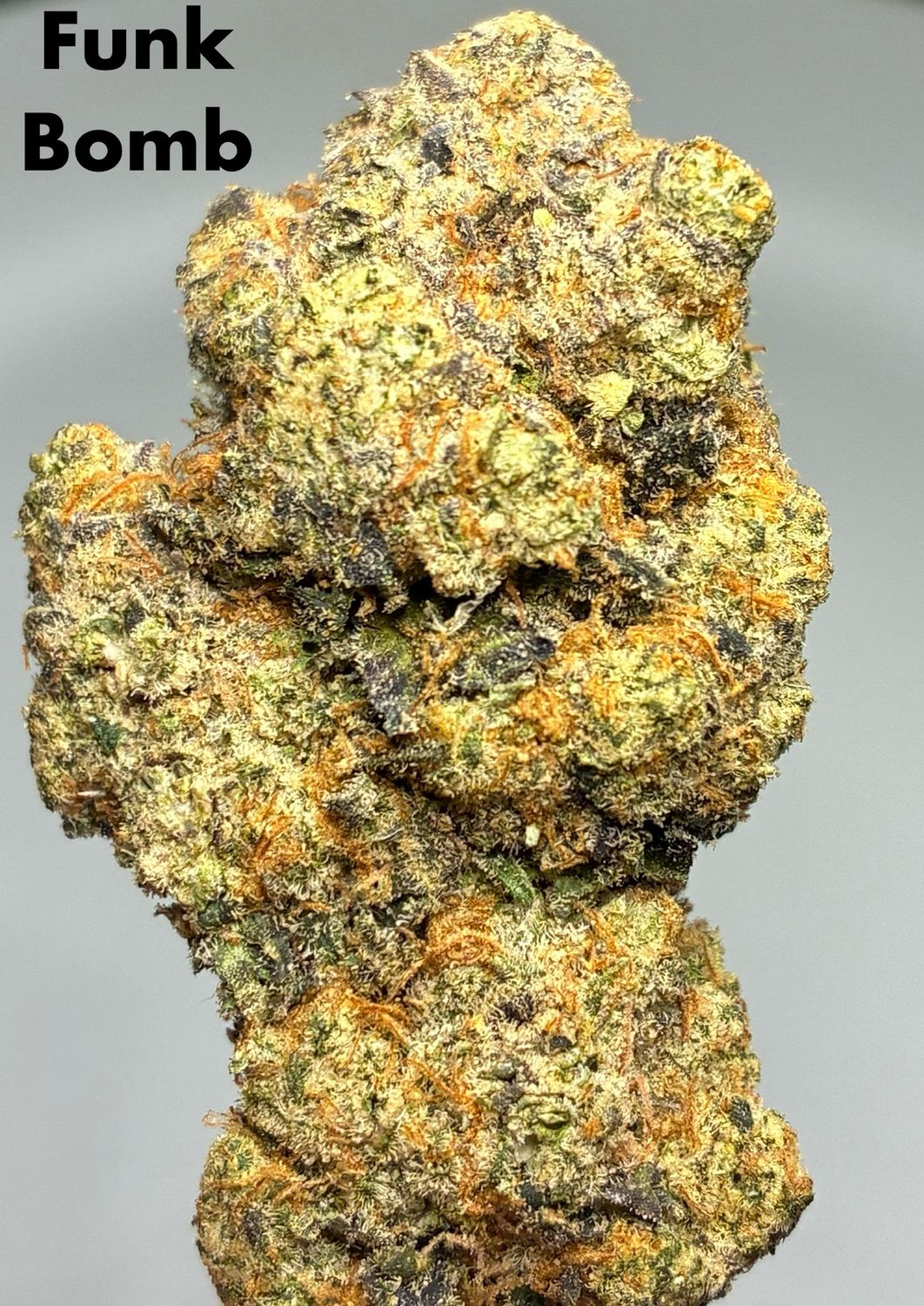 Funk Bomb (IH)