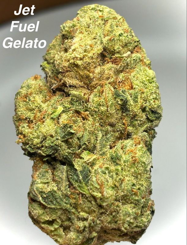Jet Fuel Gelato (H)