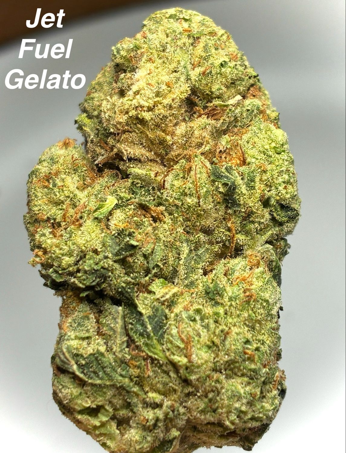 Jet Fuel Gelato (H)