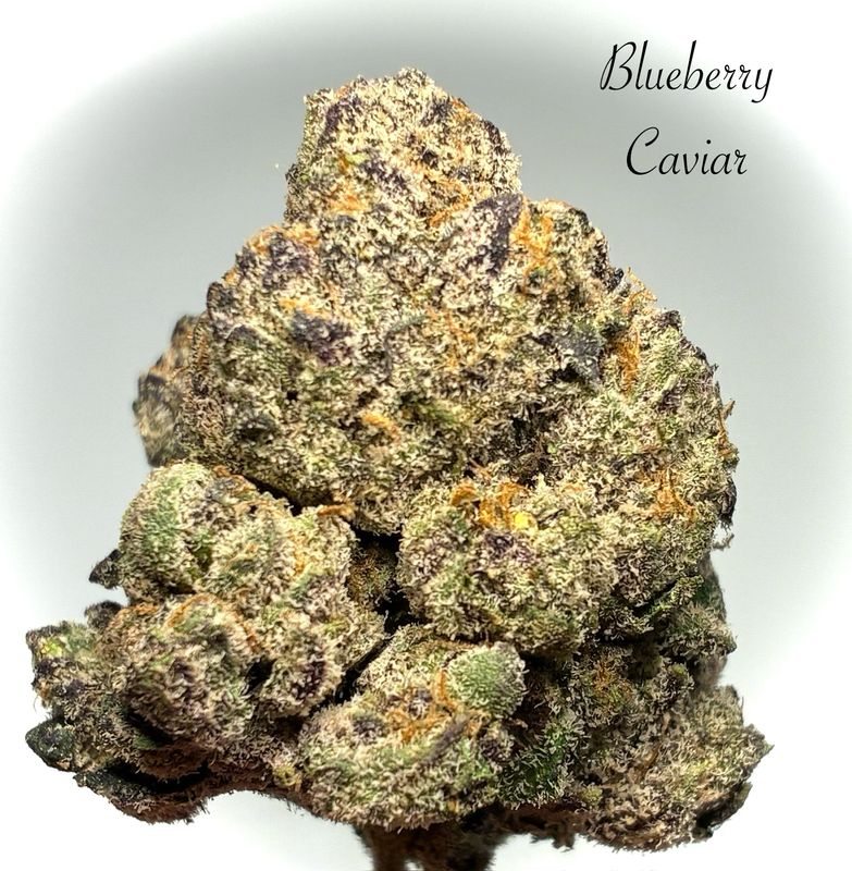 Blueberry Caviar (SH)