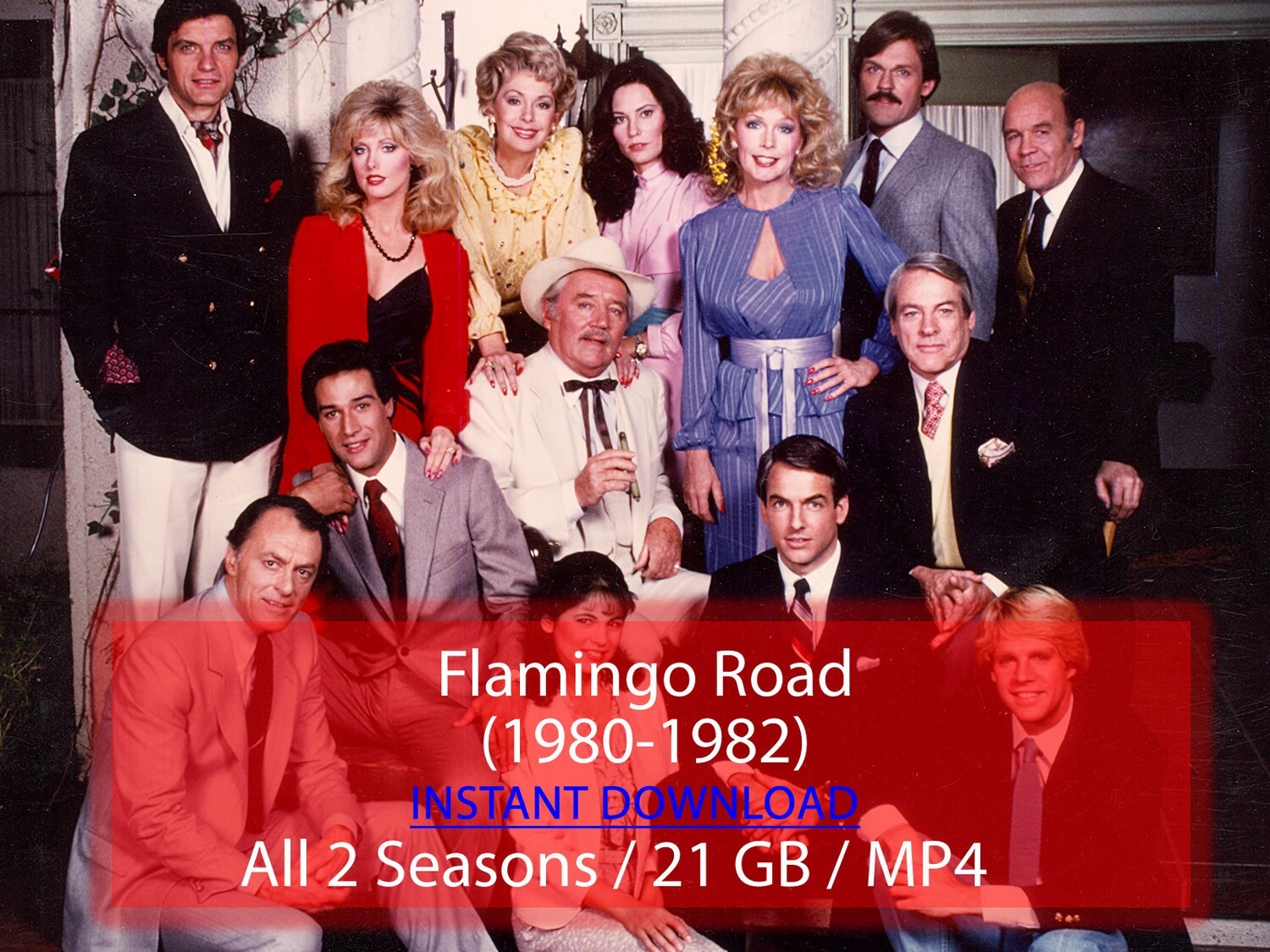 Flamingo Road (1980-1982)