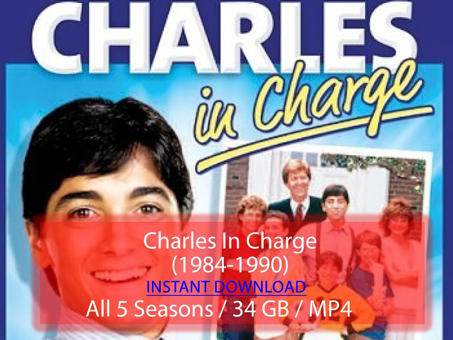 Charles In Charge (1984-1990)