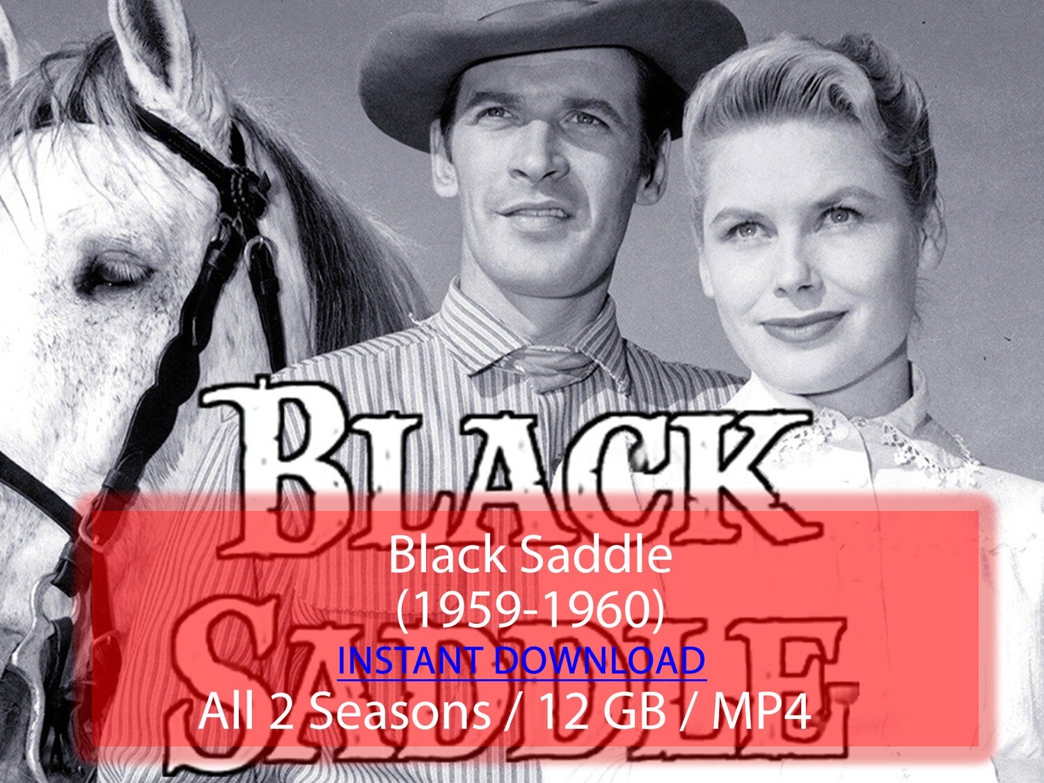 Black Saddle (1959-1960)