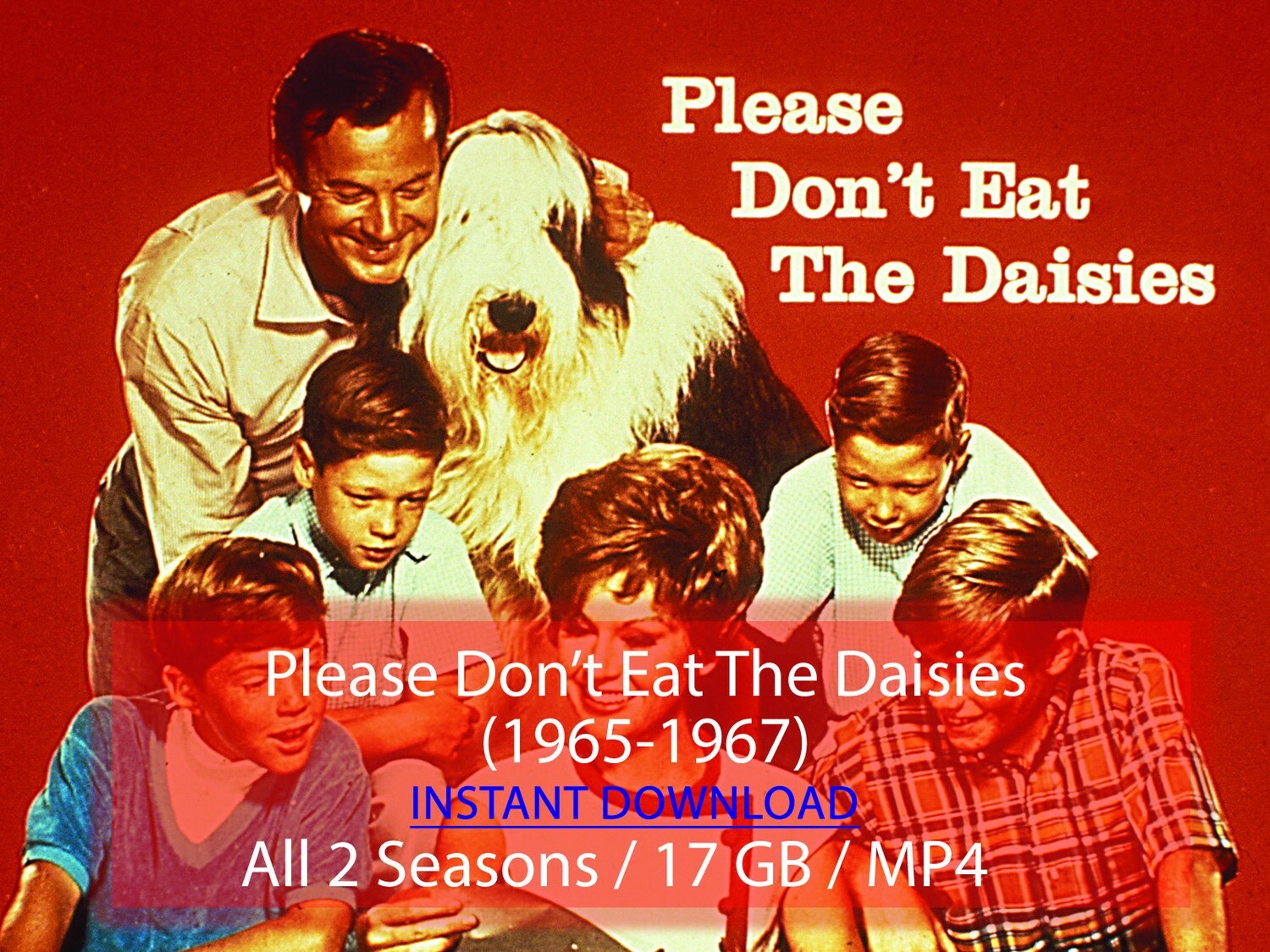 Please Don&#39;t Eat The Daisies (1965-1967)