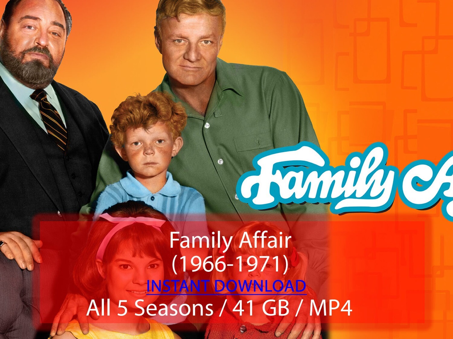 Family Affair (1966-1971)
