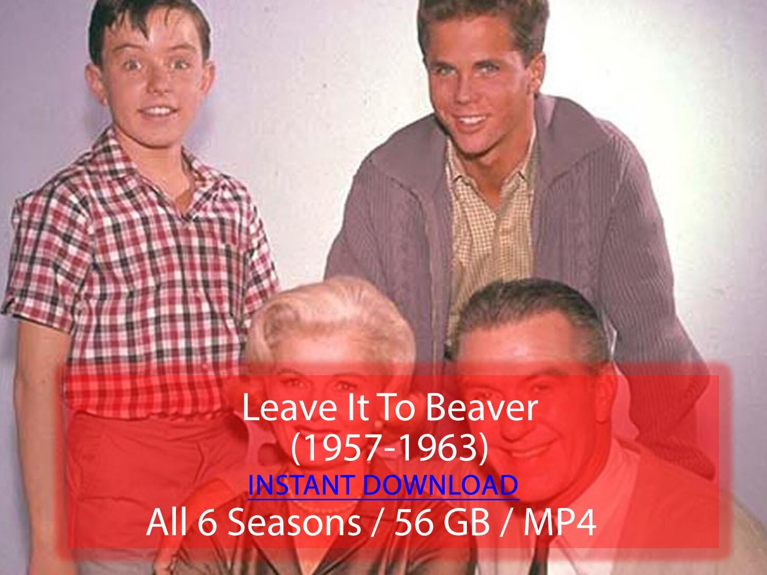 Leave It To Beaver (1957-1963)