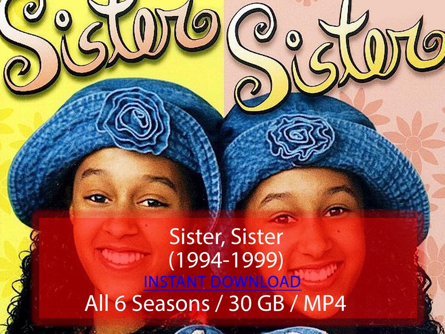 Sister, Sister (1994-1999)