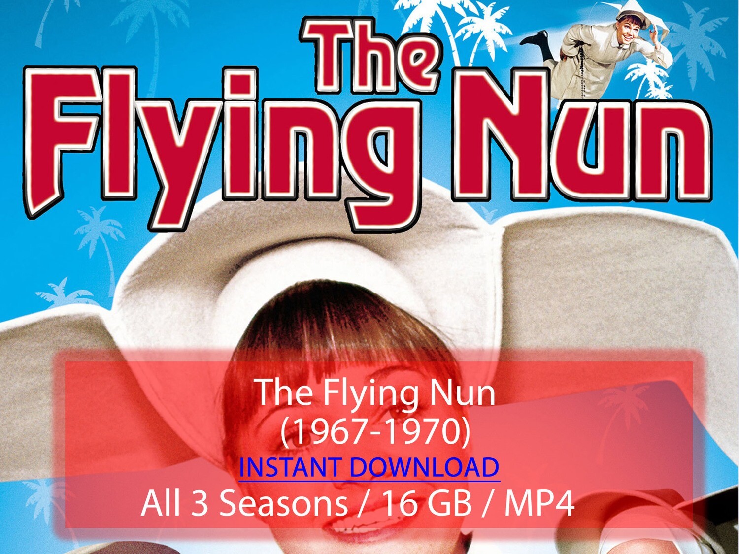 The Flying Nun (1967-1970)