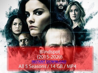 Blindspot (2015-2020)
