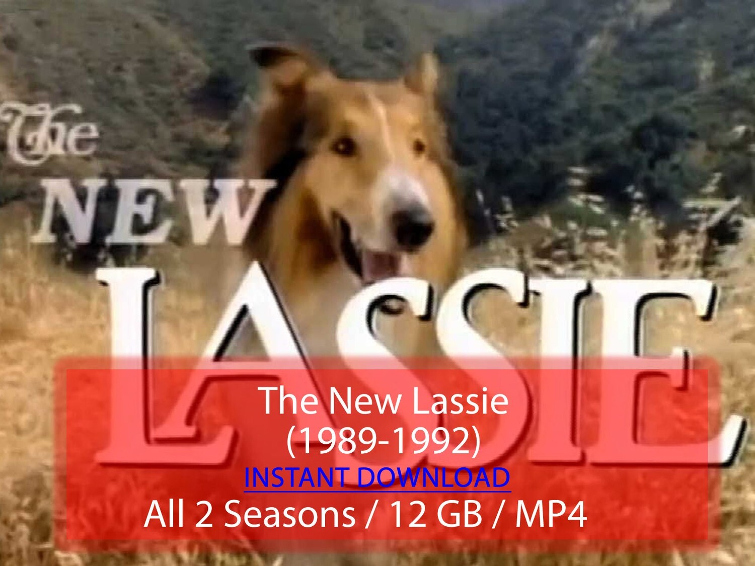 The New Lassie (1989-1992)