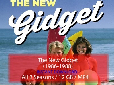The New Gidget (1986-1988)