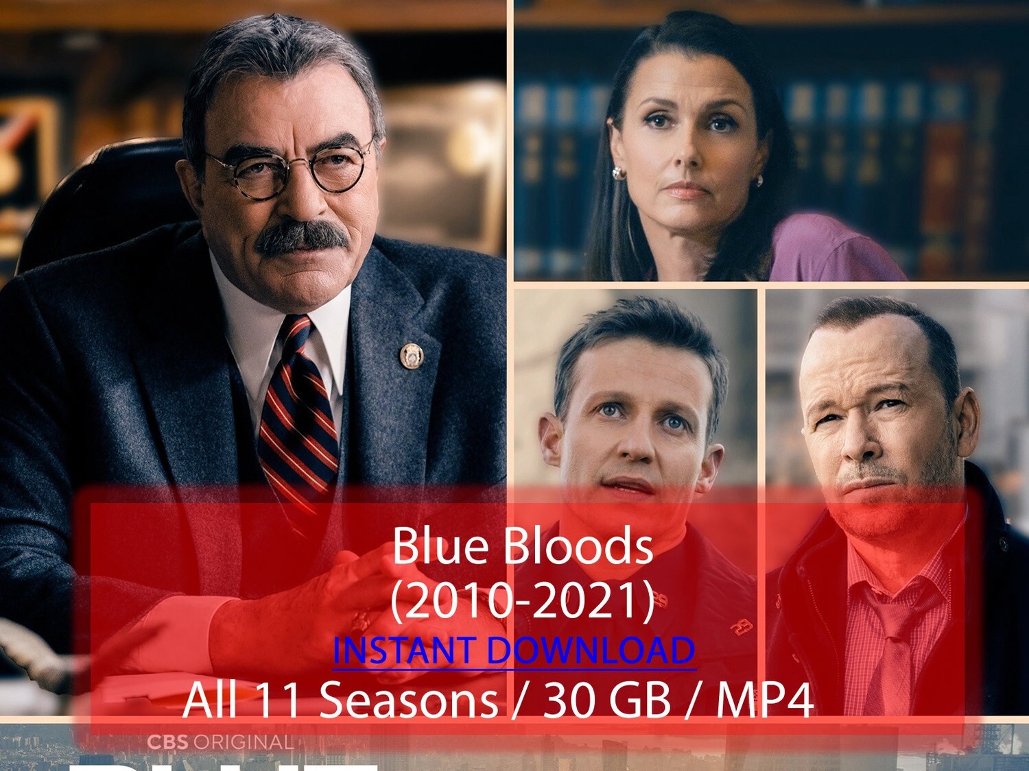 Blue Bloods (2010-2021)