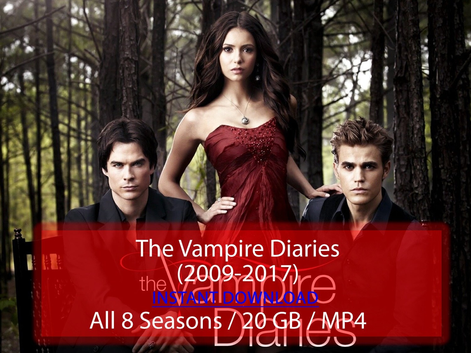 The Vampire Diaries (2009-2017)