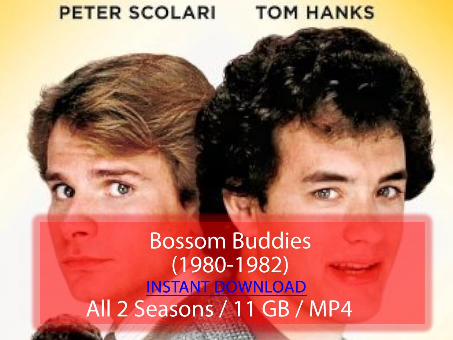 Bossom Buddies (1980-1982)