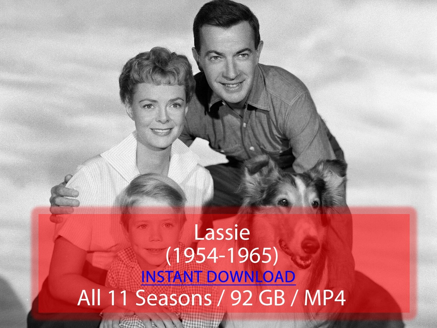 Lassie (1954-1965)