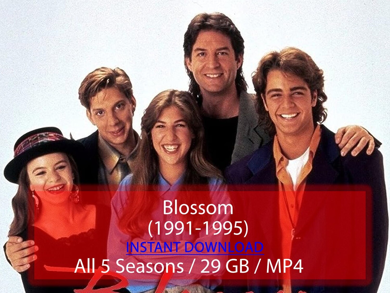 Blossom (1991-1995)
