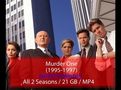 Murder One (1995-1997)