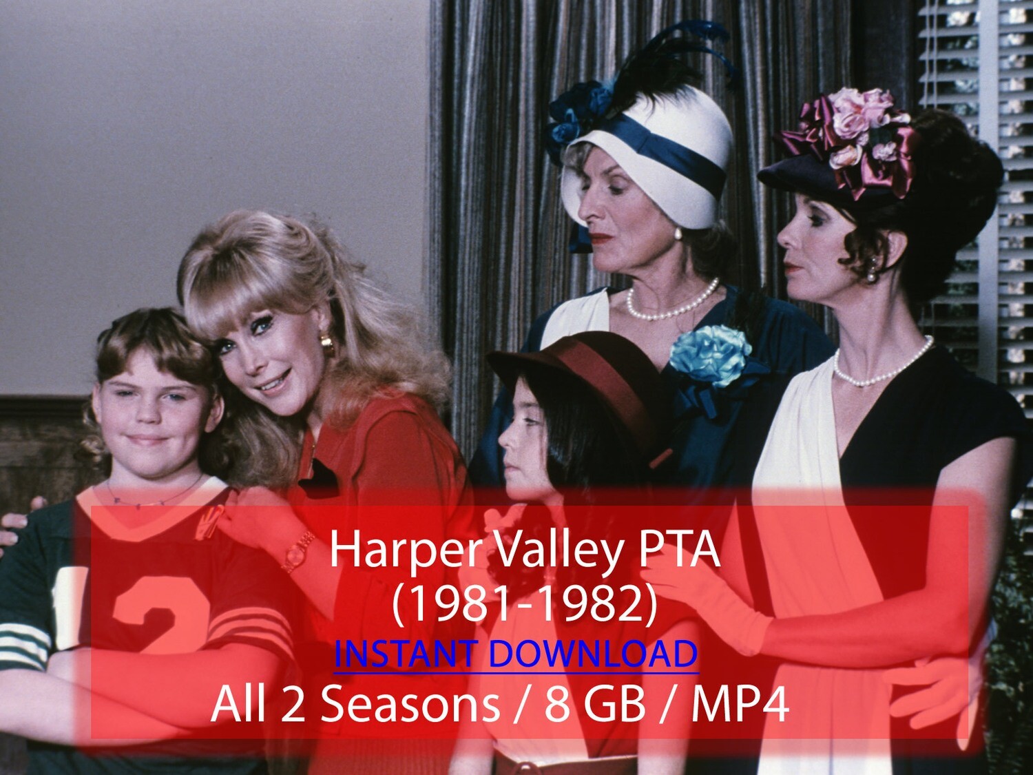 Harper Valley PTA (1981-1982)