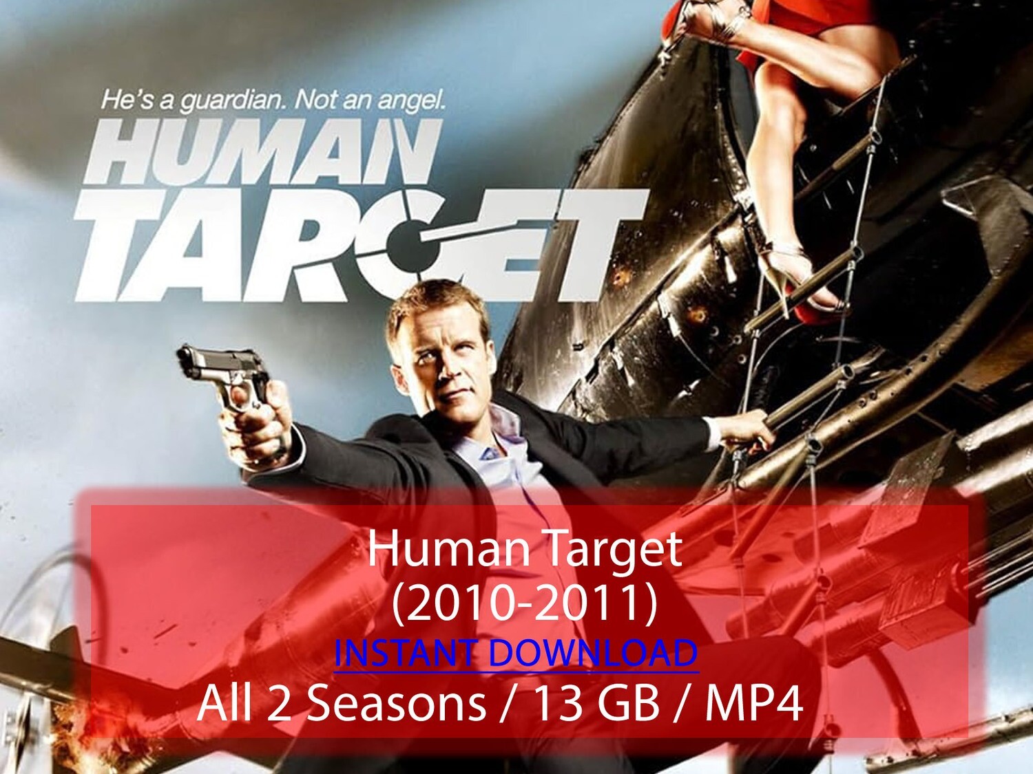 Human Target (2010-2011)