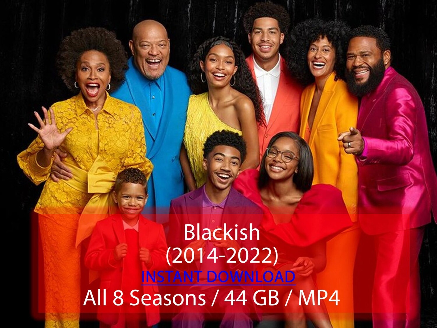 Blackish (2014-2022)