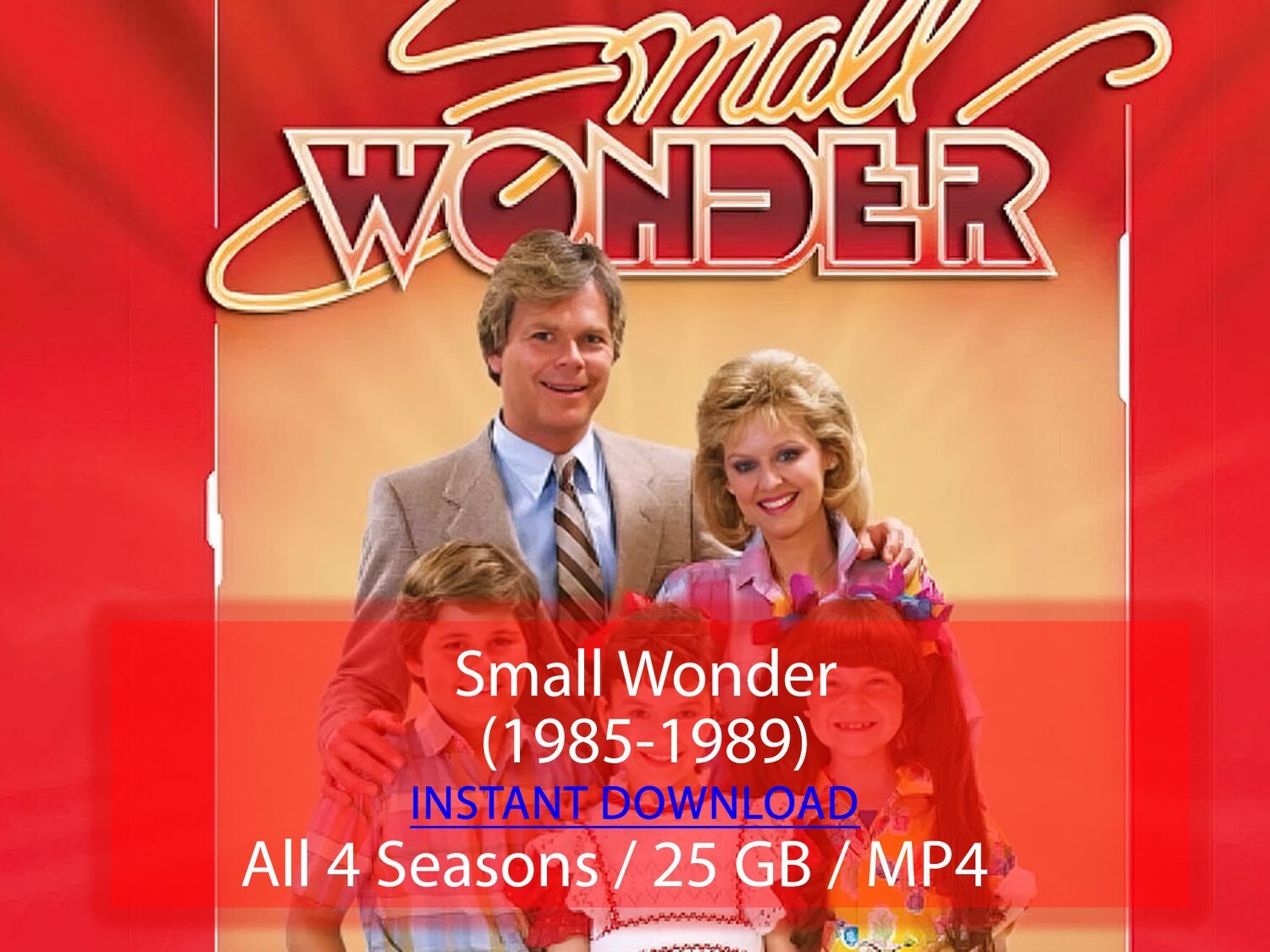 Small Wonder (1985-1989)