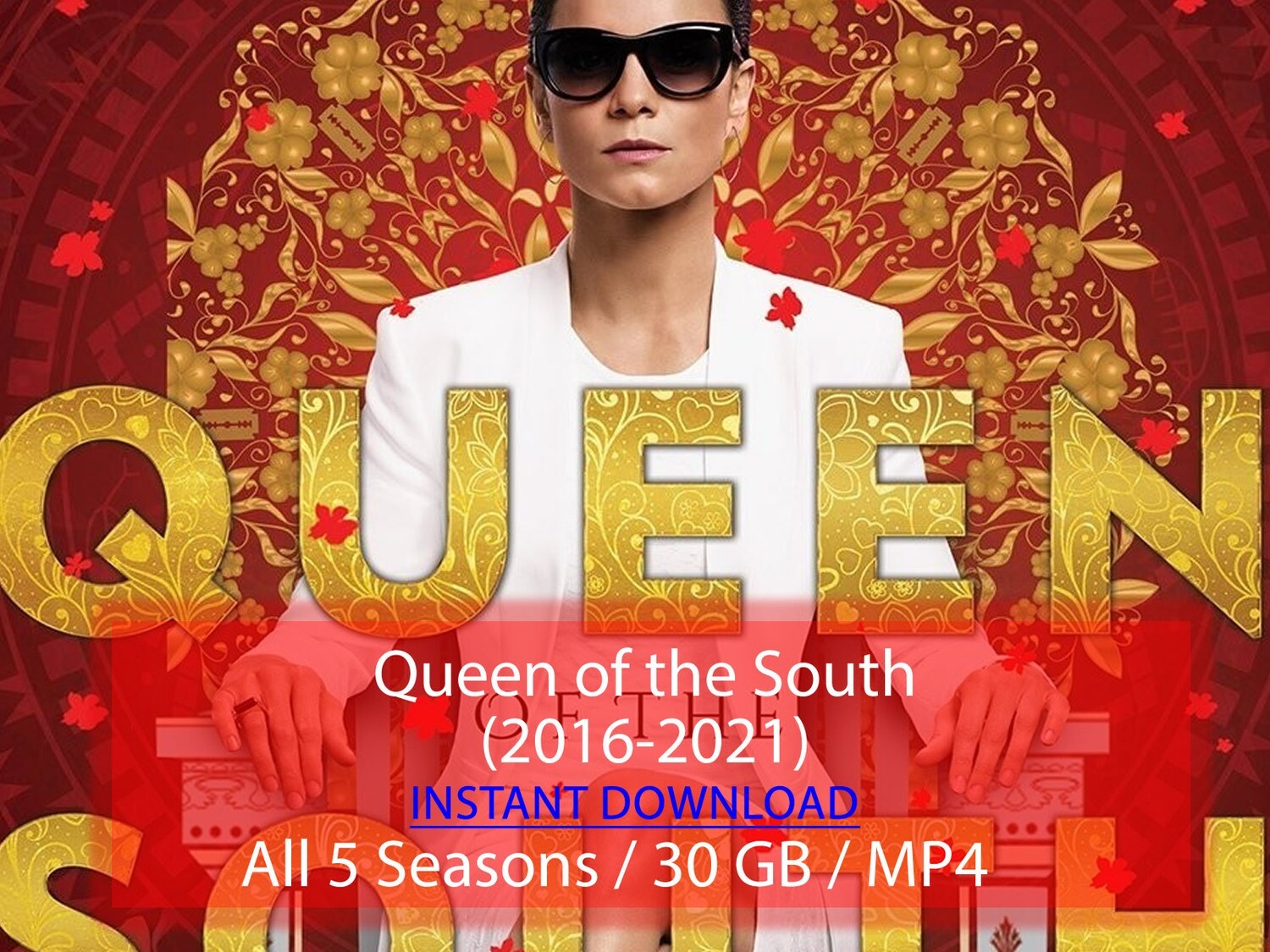 Queen of the South (2016-2021)