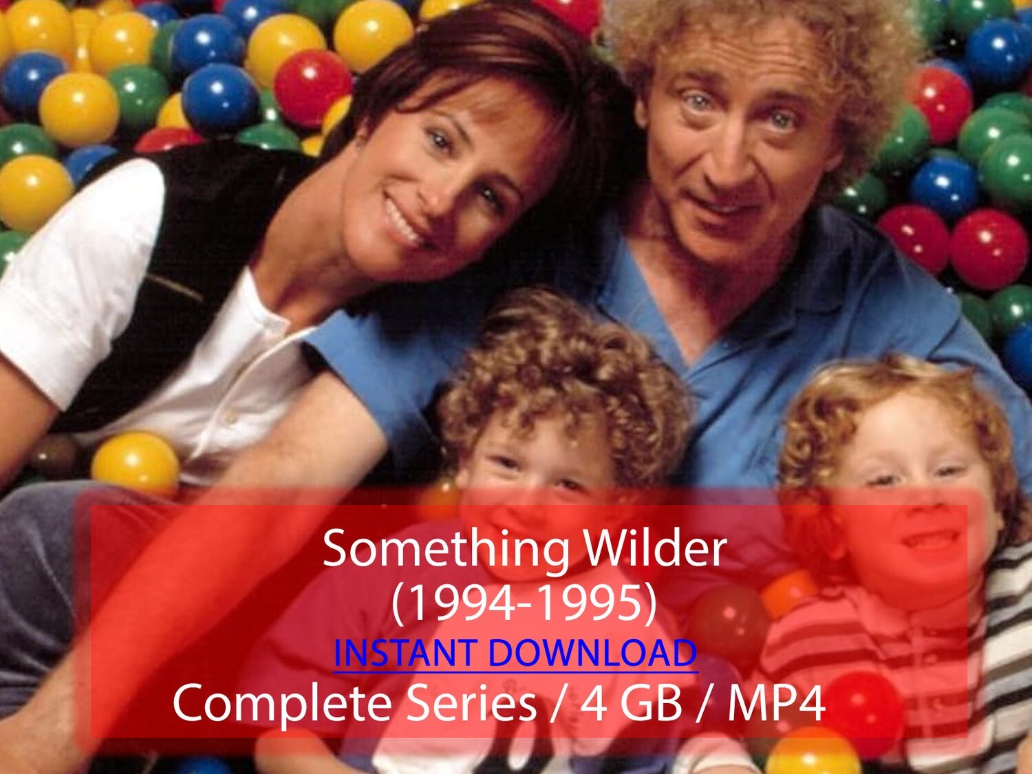 Something Wilder (1994-1995)