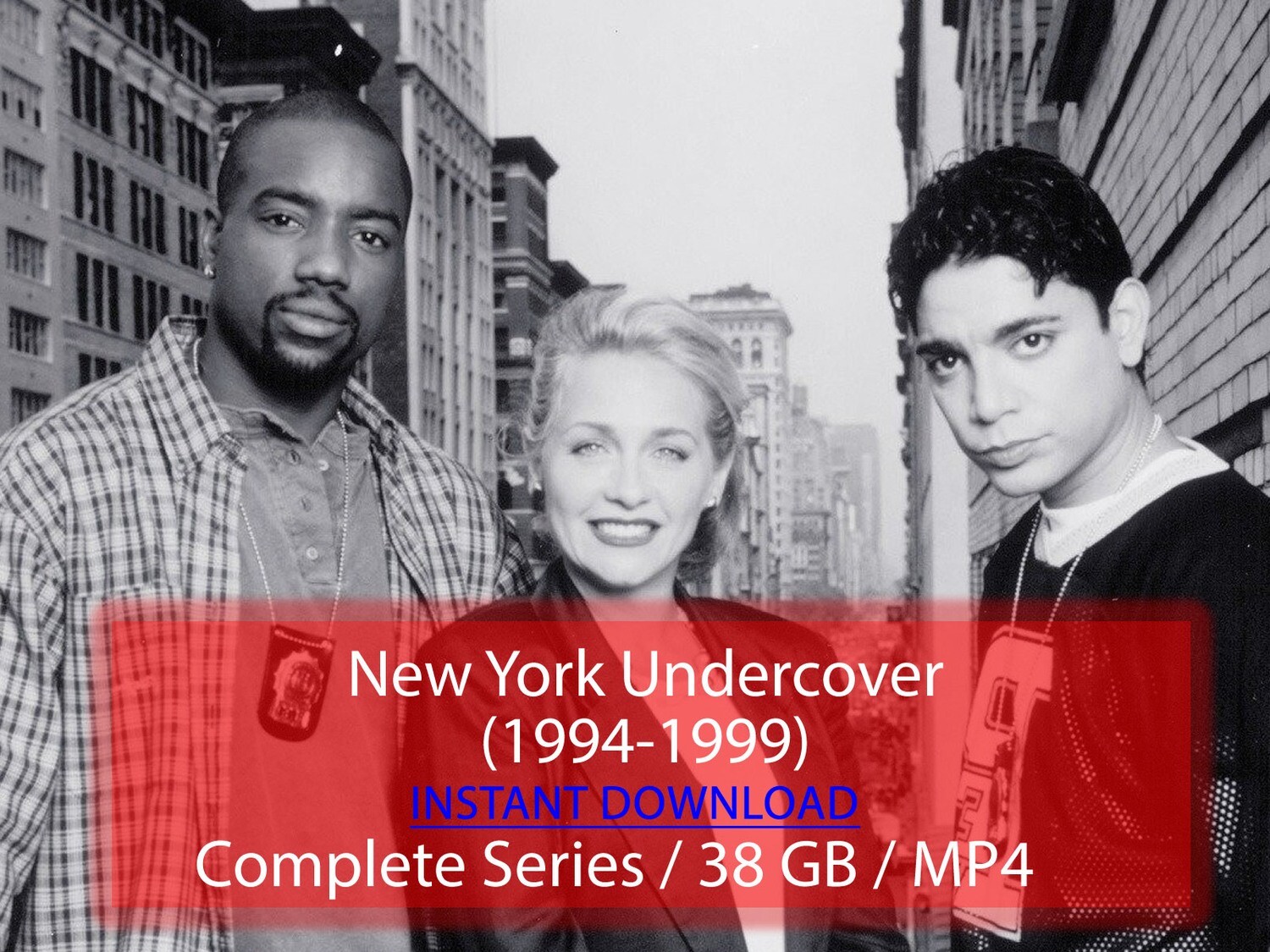 New York Undercover (1994-1999)