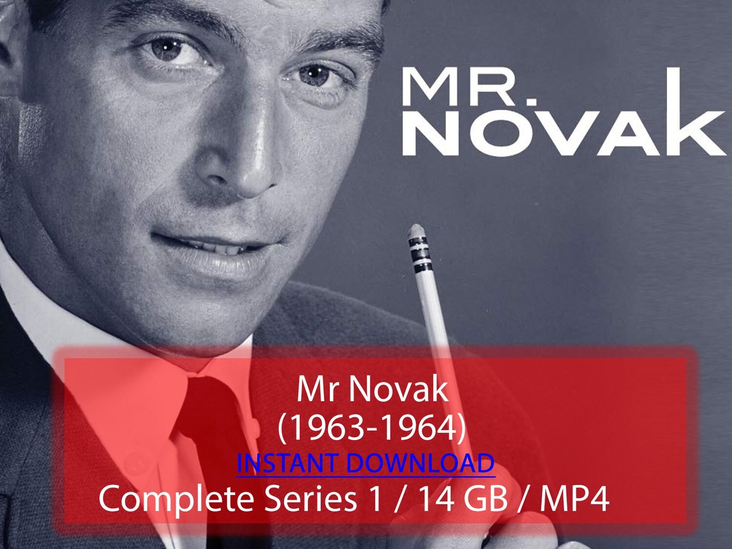 Mr Novak (1963-1964)