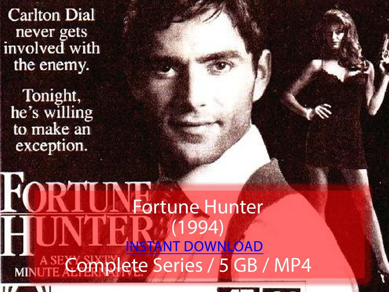 Fortune Hunter (1994)