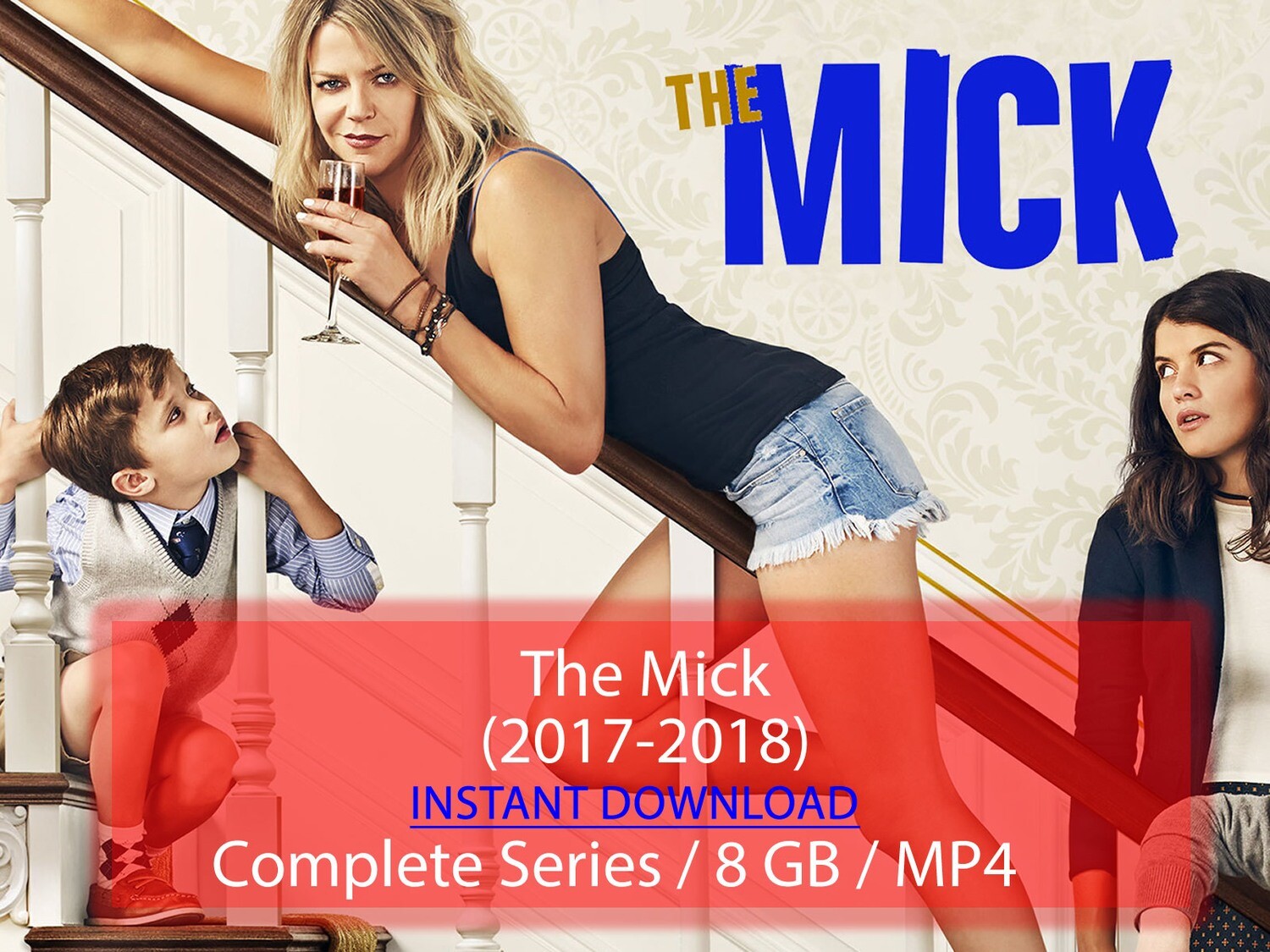 The Mick (2017-2018)