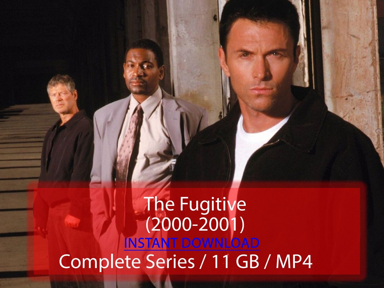 The Fugitive (2000-2001)