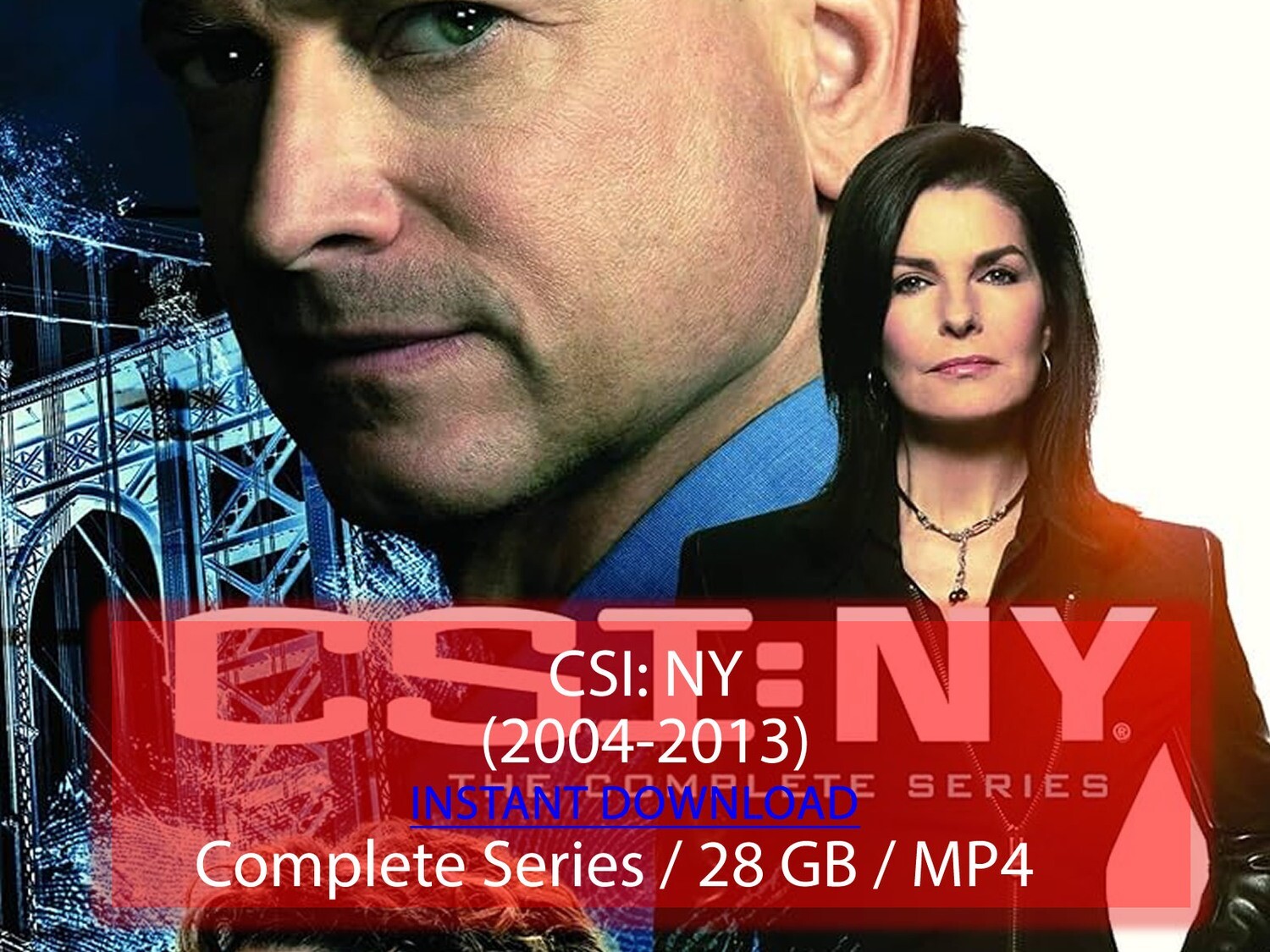 CSI: NY (2004-2013)