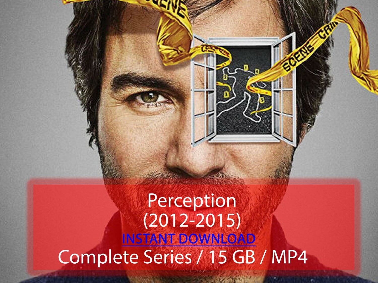 Perception (2012-2015)
