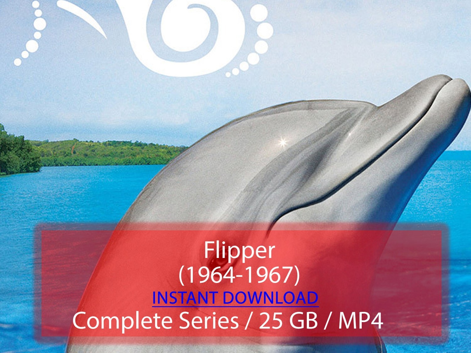 Flipper (1964-1967)