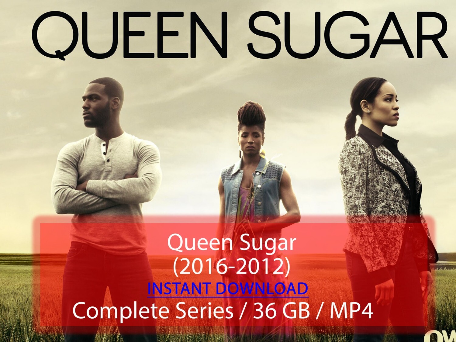 Queen Sugar (2016-2017)