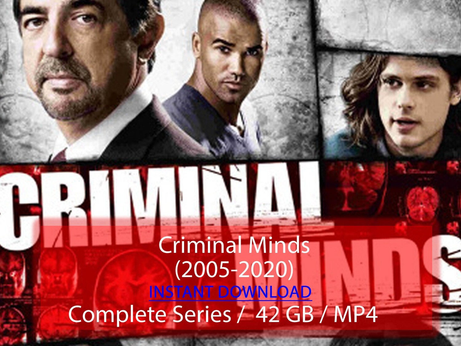 Criminal Minds (2005-2020)