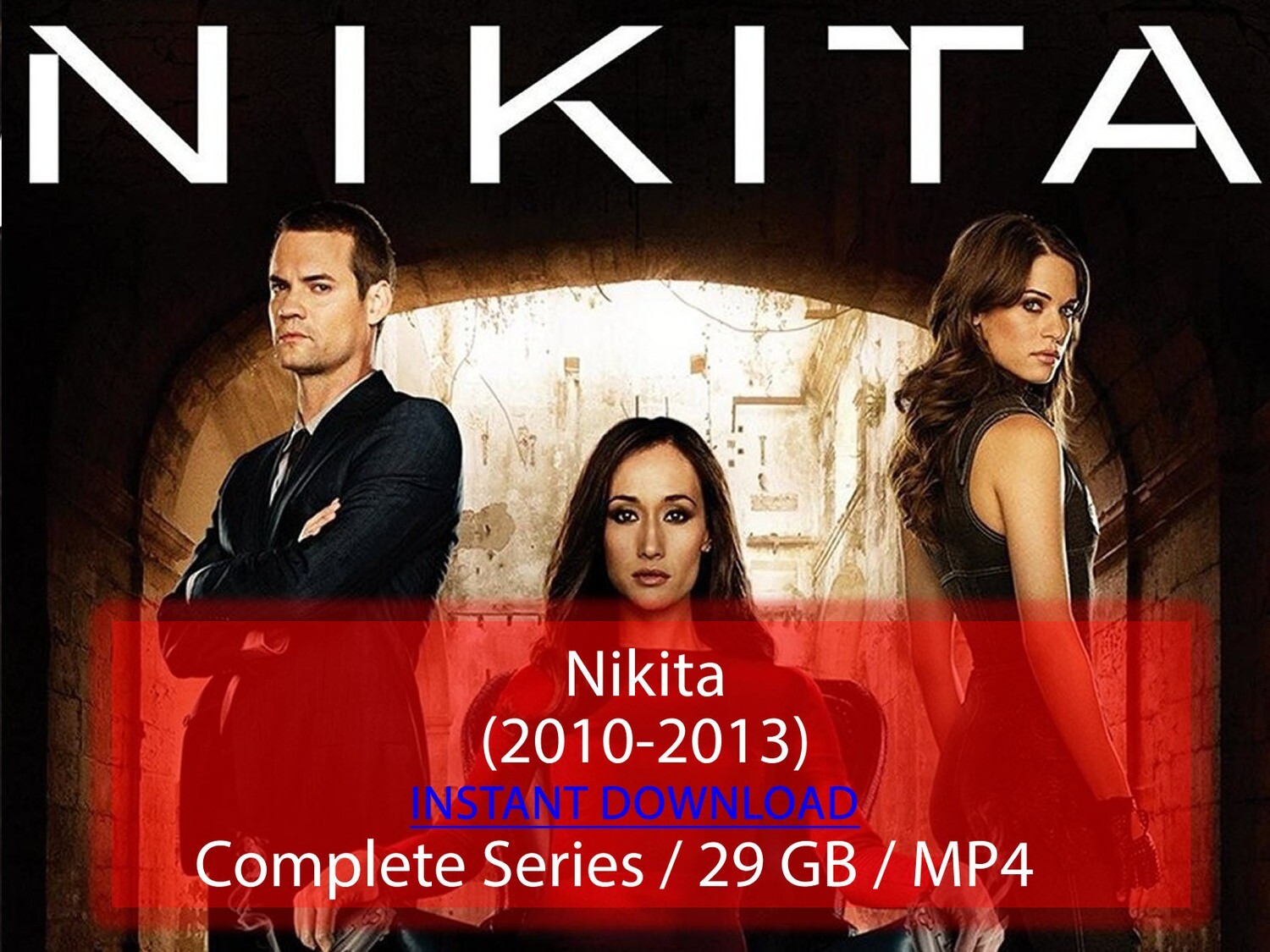 Nikita (2010-2013)