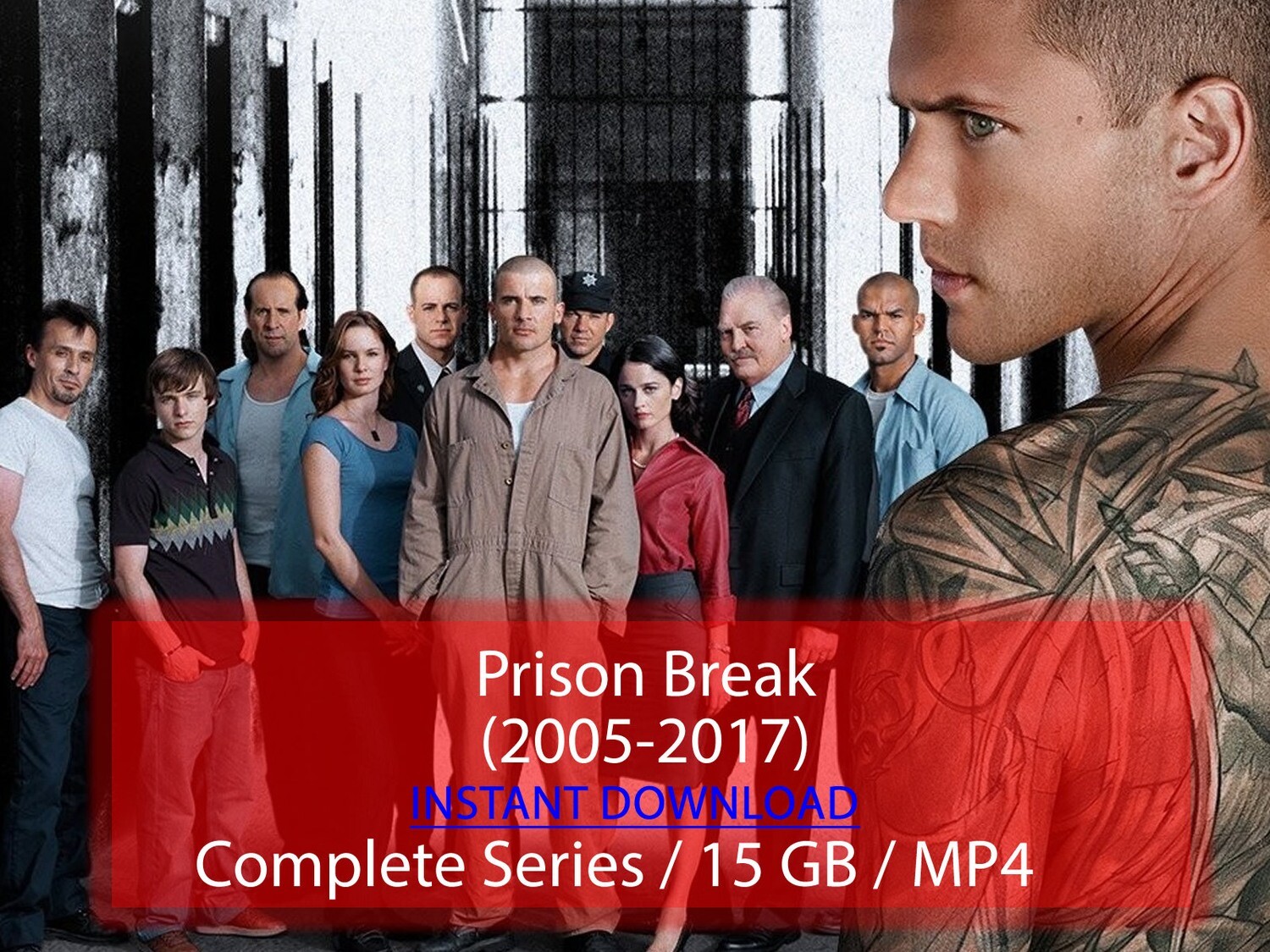 Prison Break (2005-2017)