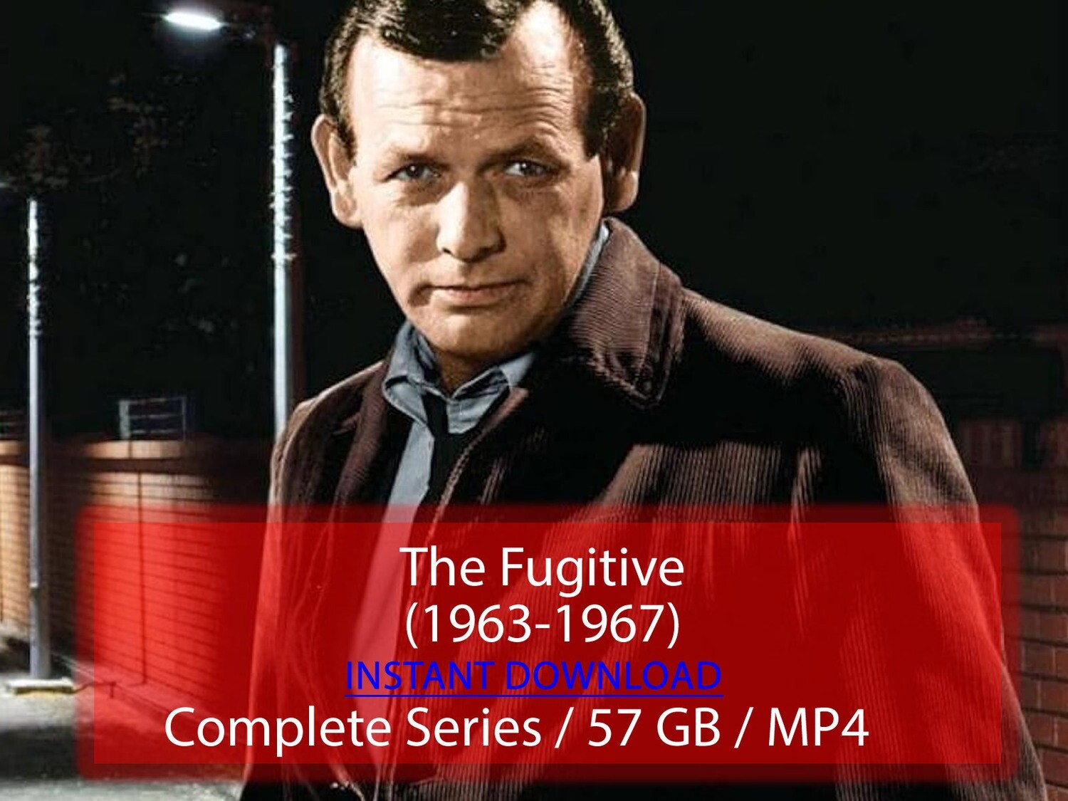 The Fugitive (1963-1967)