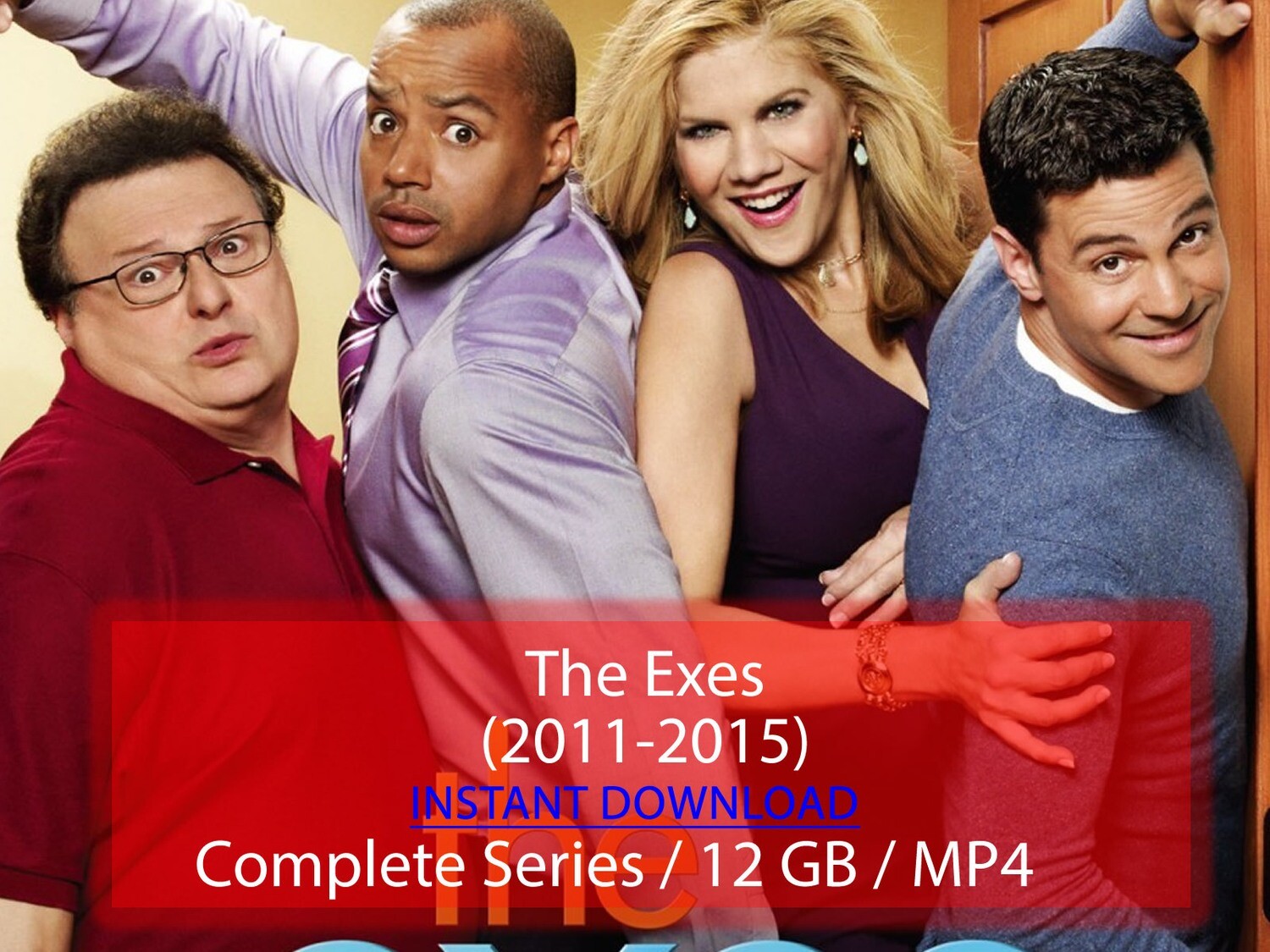 The Exes (2011-2015)