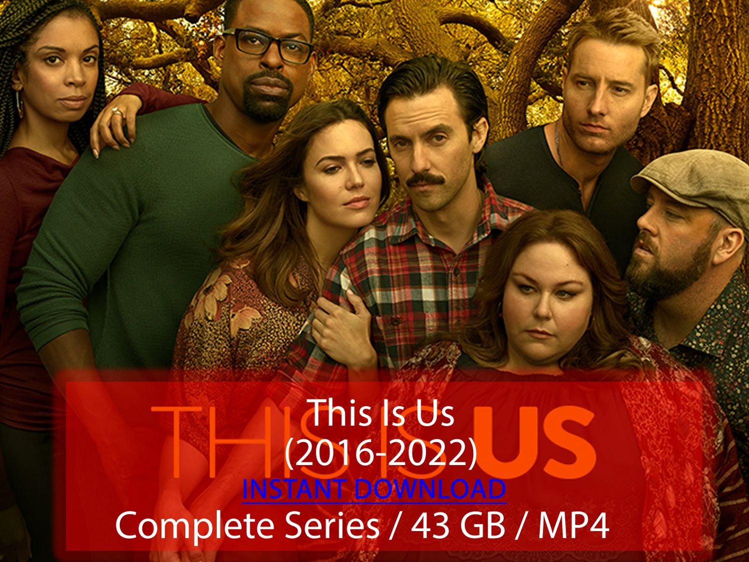 This Is Us (2016-2022)