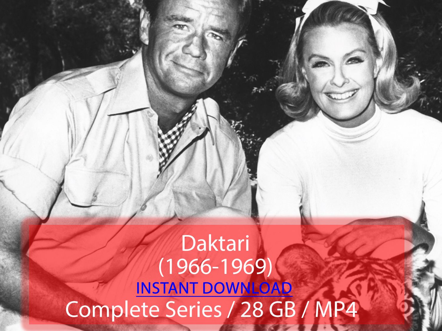 Daktari (1966-1969)