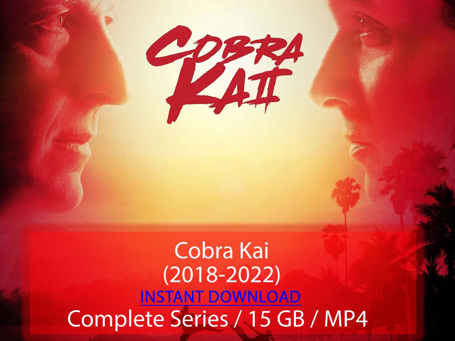 Cobra Kai (2018-2022)
