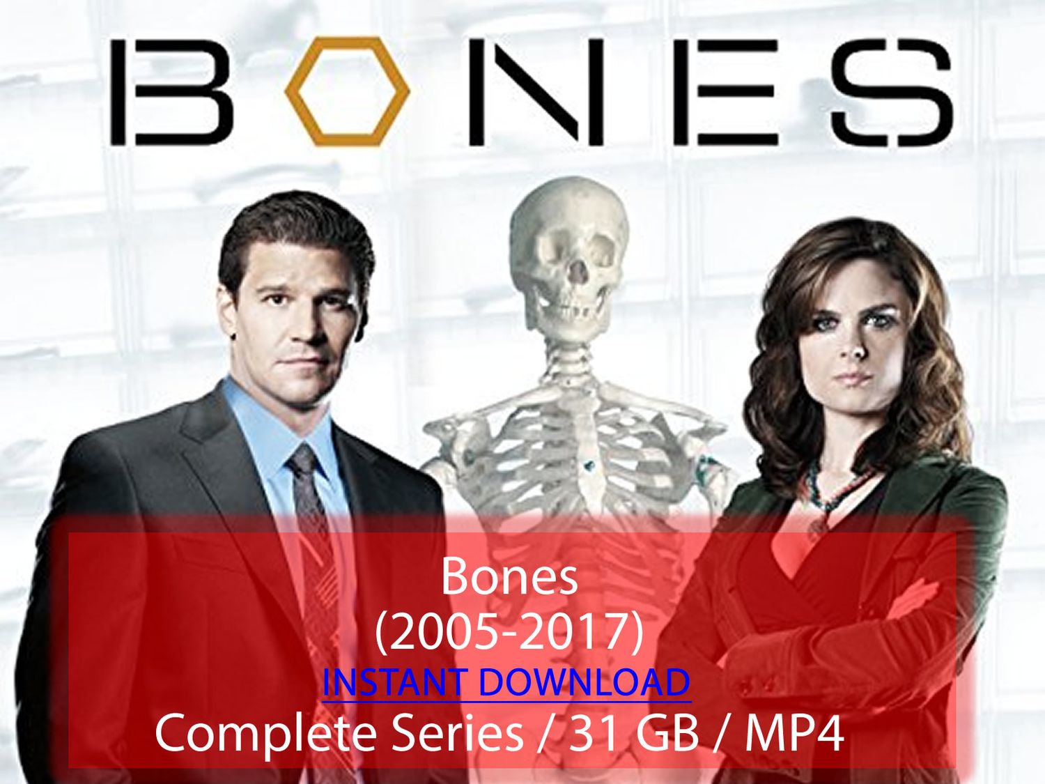 Bones (2005-2017)