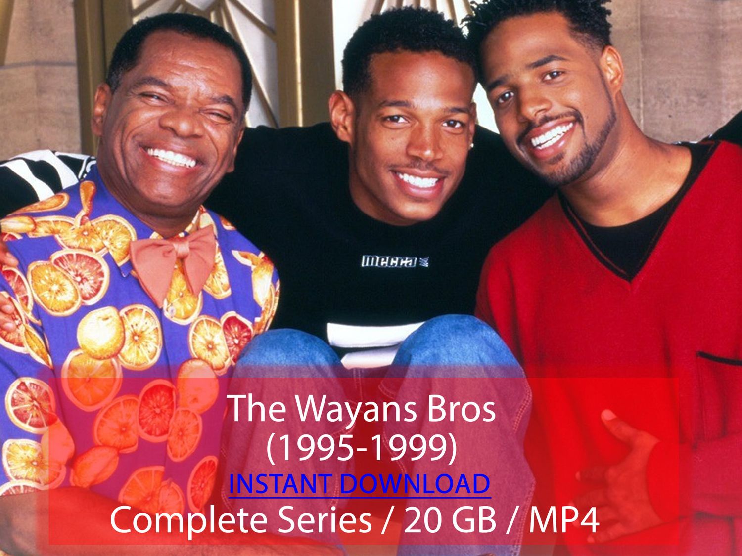 The Wayans Bros (1995-1999)