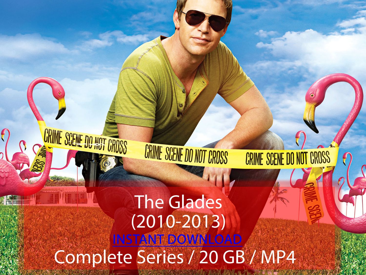 The Glades (2010-2013)